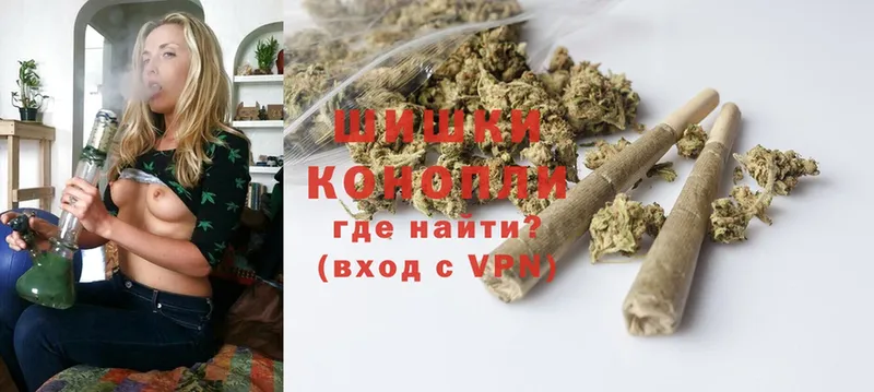 Каннабис планчик  Куровское 